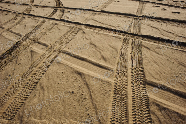 Tracks in . Sand