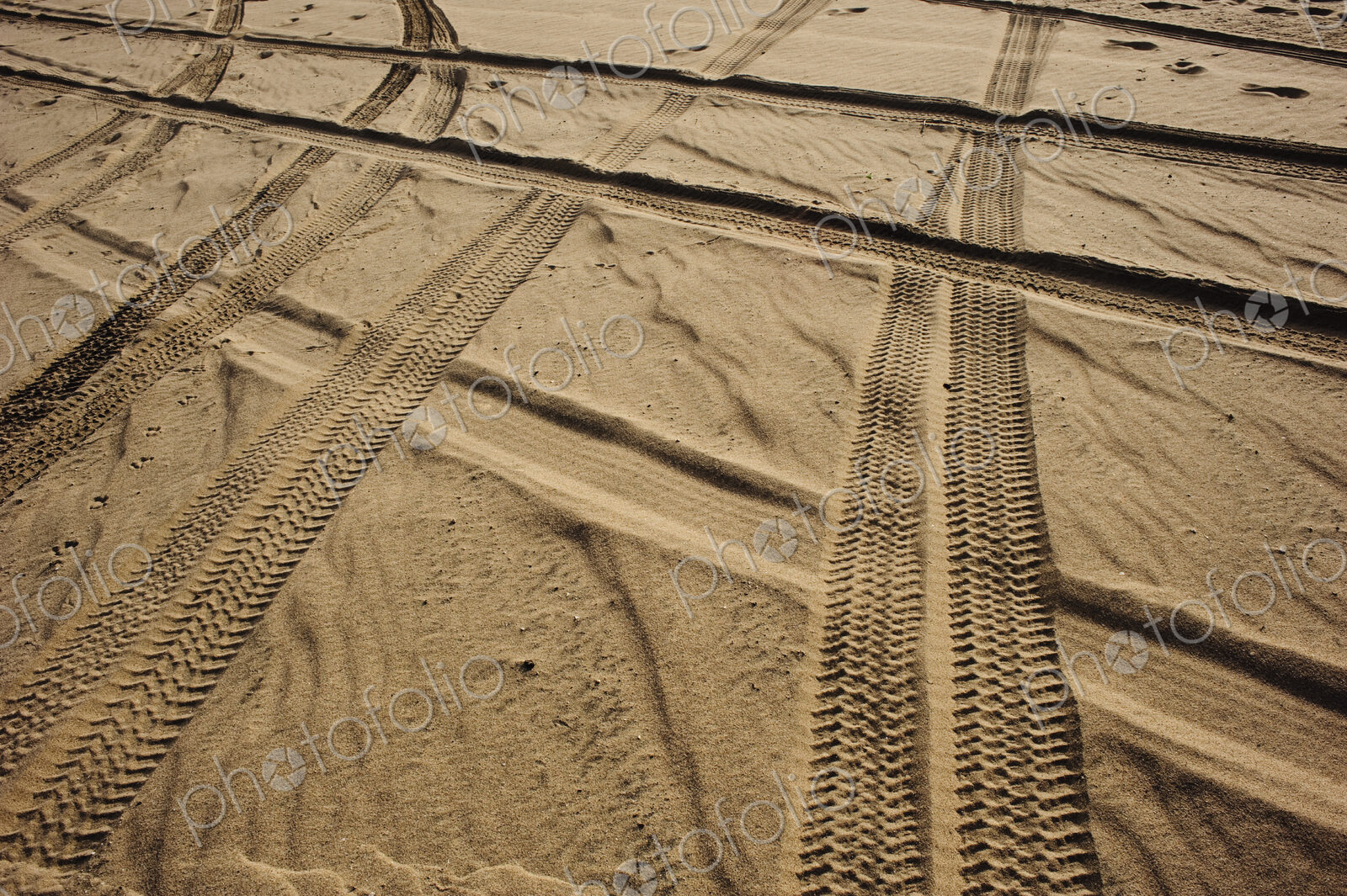 Tracks in . Sand