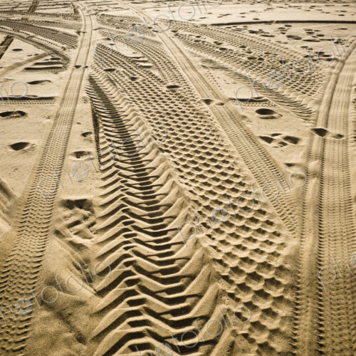 Tracks in . Sand Tracks in . Sand