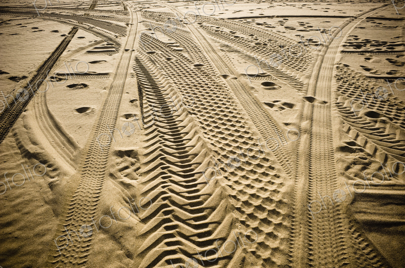 Tracks in . Sand