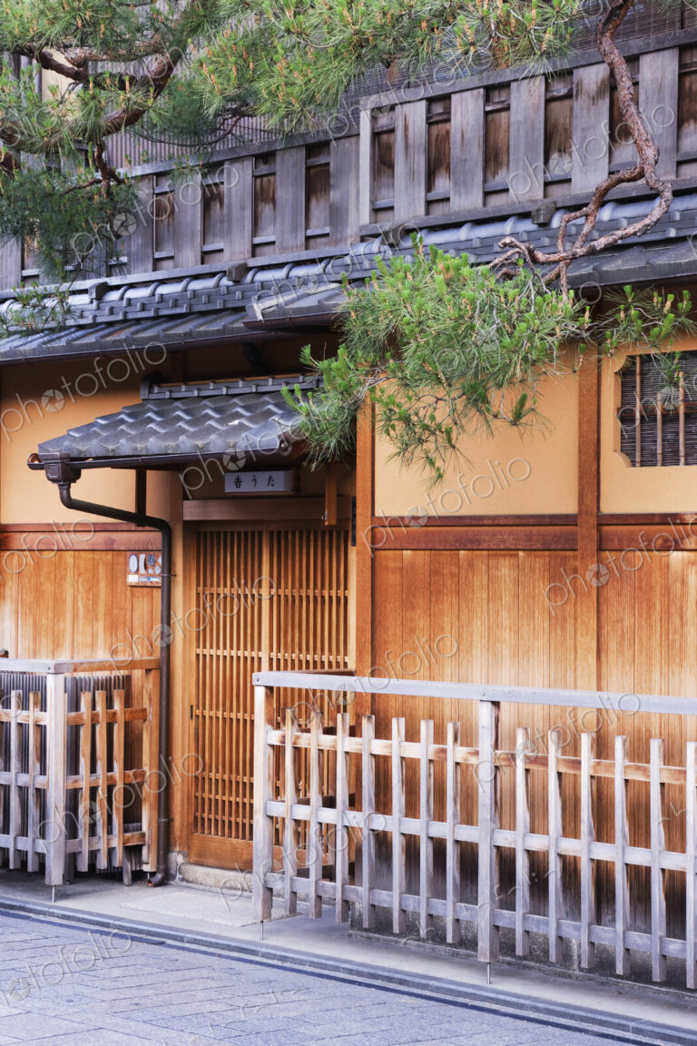 Traditional Japanese House
