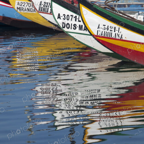 Traditional moliceiros fishing boats with high prows, painted in vivid colours, moored…