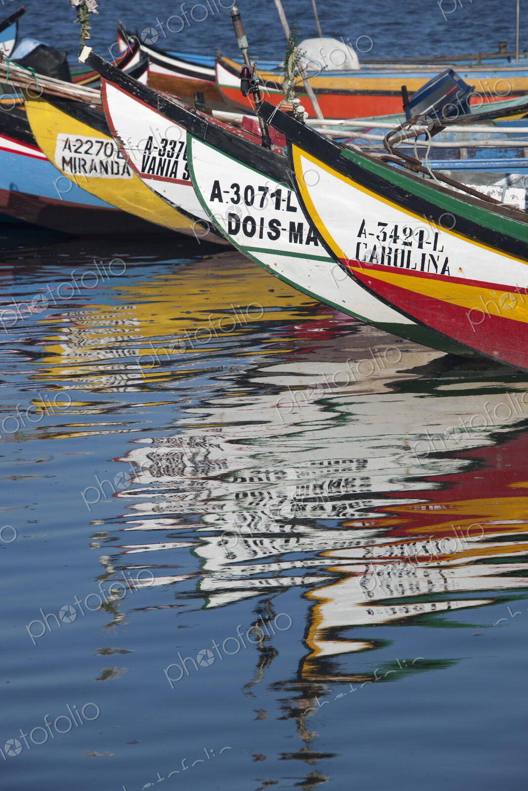 Traditional moliceiros fishing boats with high prows, painted in vivid colours, moored…