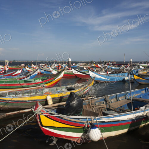 Traditional moliceiros fishing boats with high prows, painted in vivid colours, moored…
