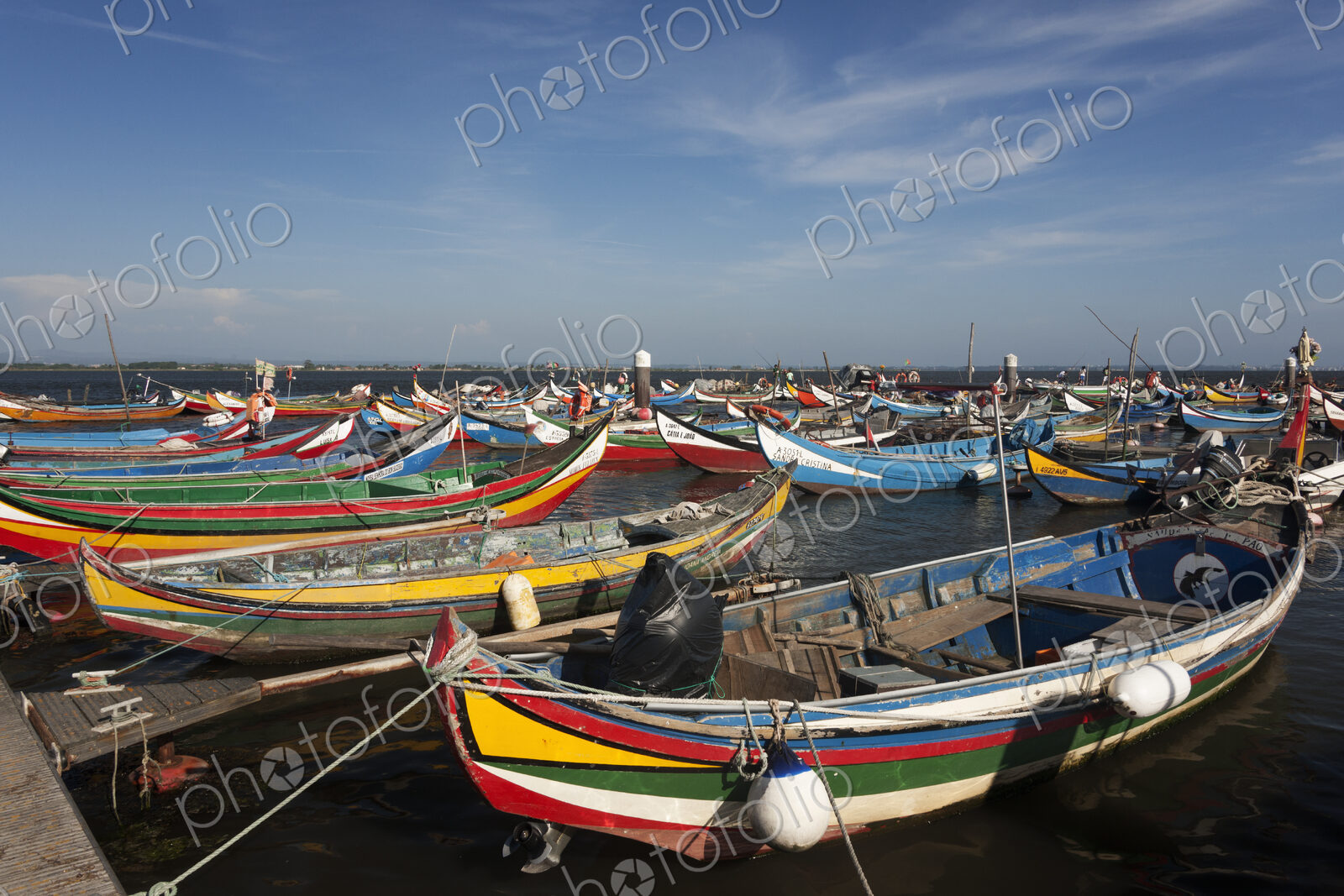 Traditional moliceiros fishing boats with high prows, painted in vivid colours, moored…