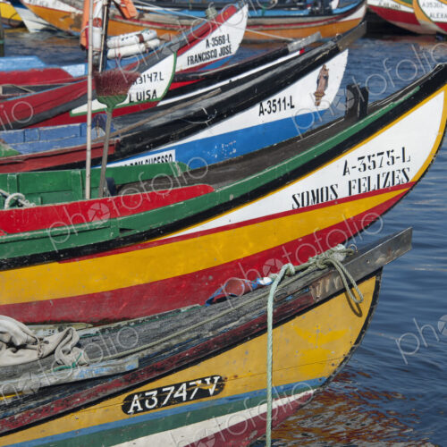 Traditional moliceiros fishing boats with high prows, painted in vivid colours, moored…
