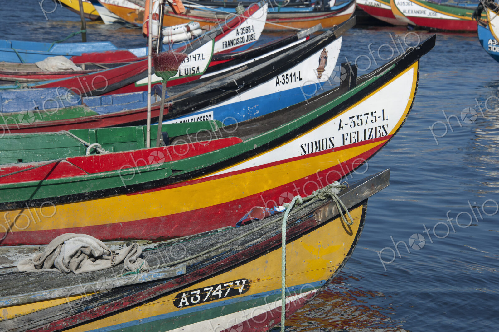 Traditional moliceiros fishing boats with high prows, painted in vivid colours, moored…