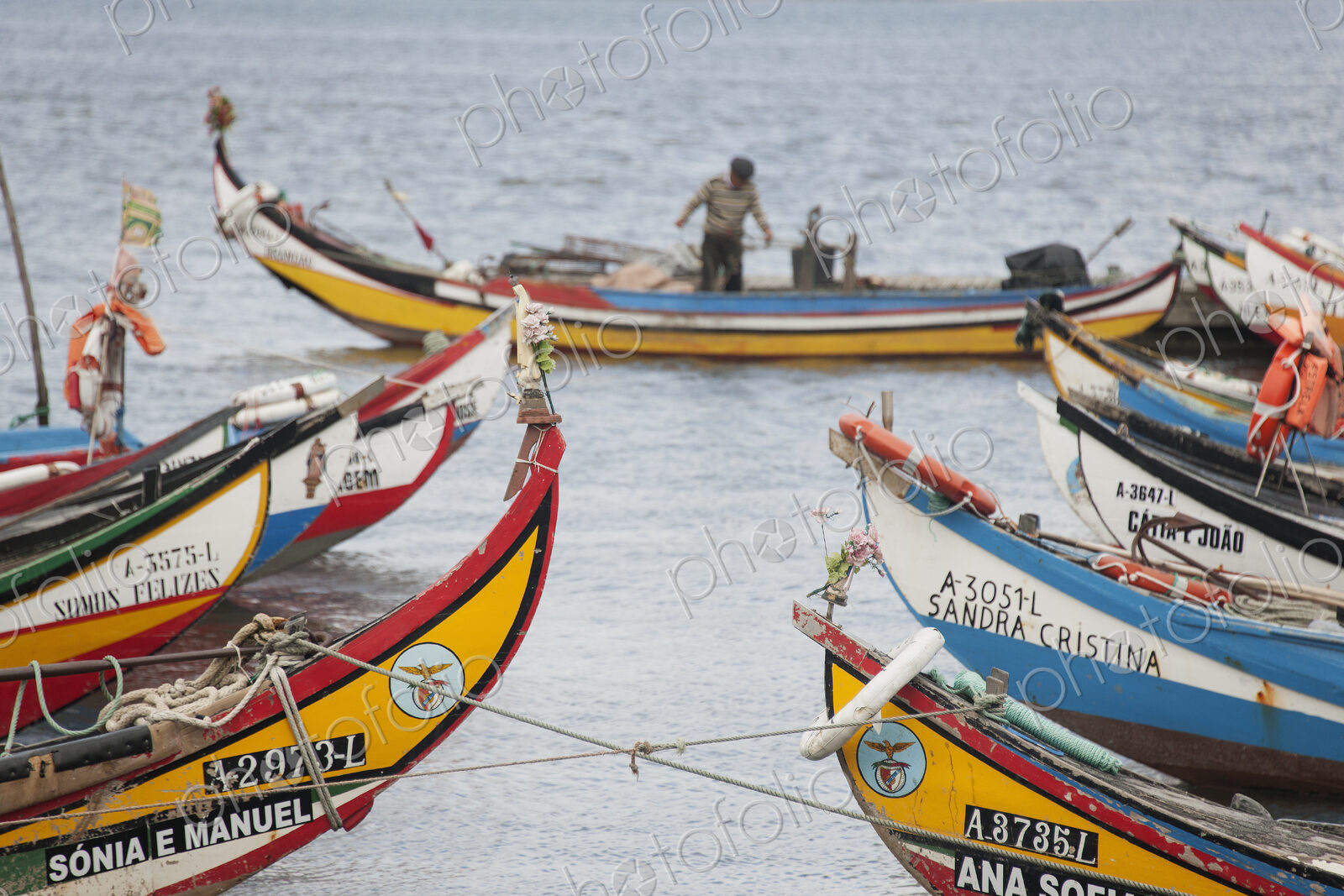 Traditional moliceiros fishing boats with high prows, painted in vivid colours, moored…