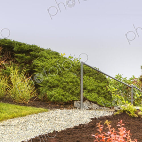 Traffic light in a garden, flower border with shrubs and path. Traffic light in a garden, flower border with shrubs and path.