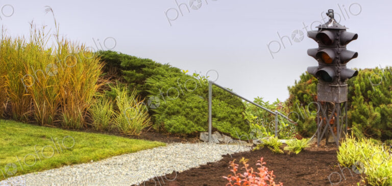 Traffic light in a garden, flower border with shrubs and path.