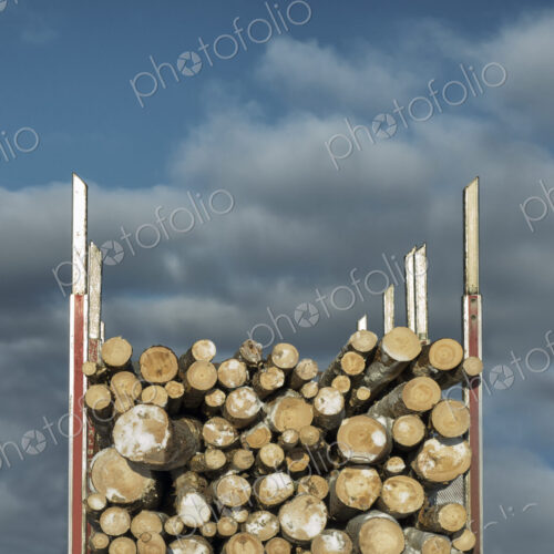 Trailer full of timber, close-up. Trailer full of timber, close-up.