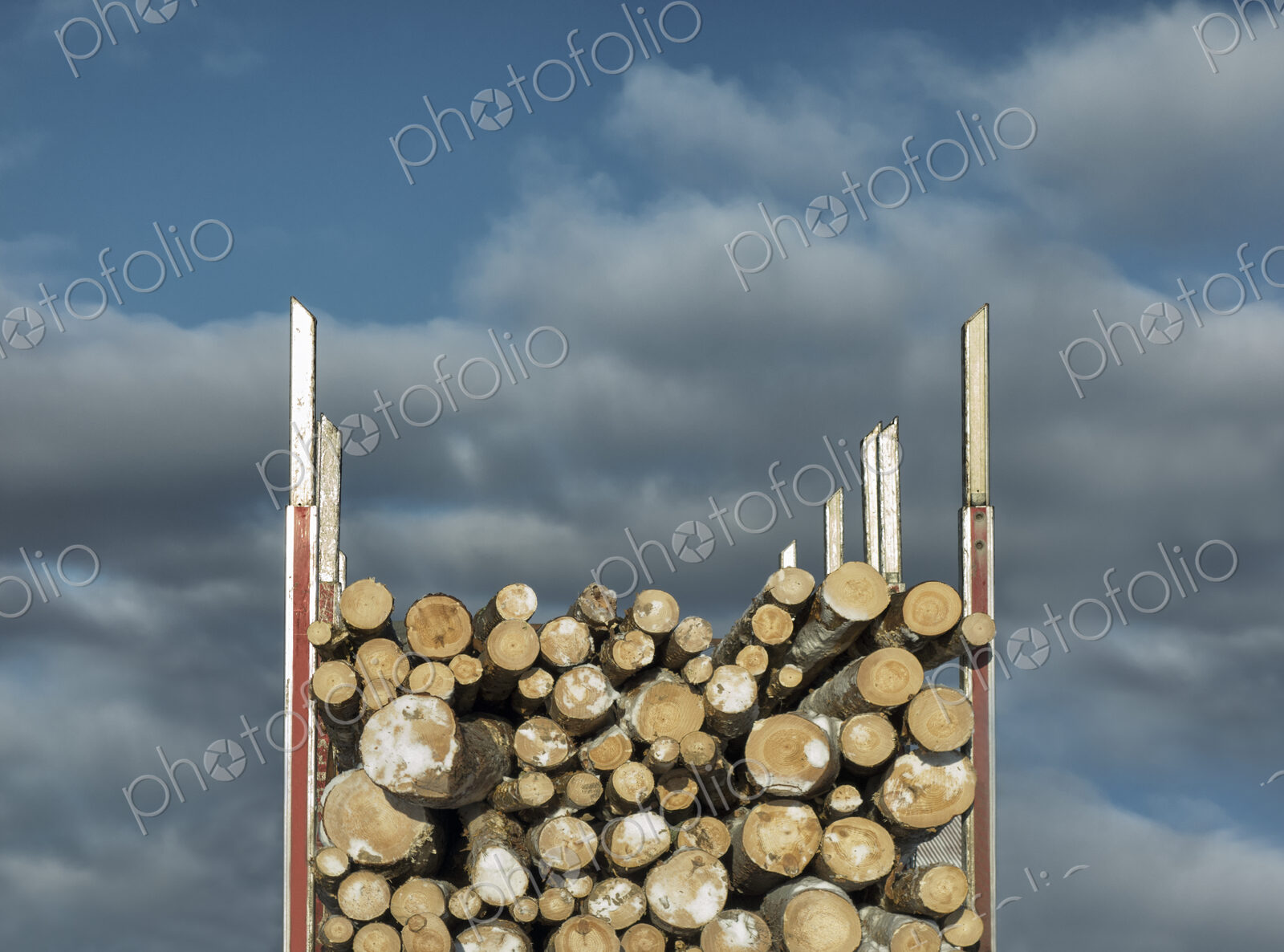 Trailer full of timber, close-up.