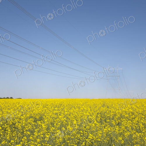 Transmission Towers and Power Lines Transmission Towers and Power Lines
