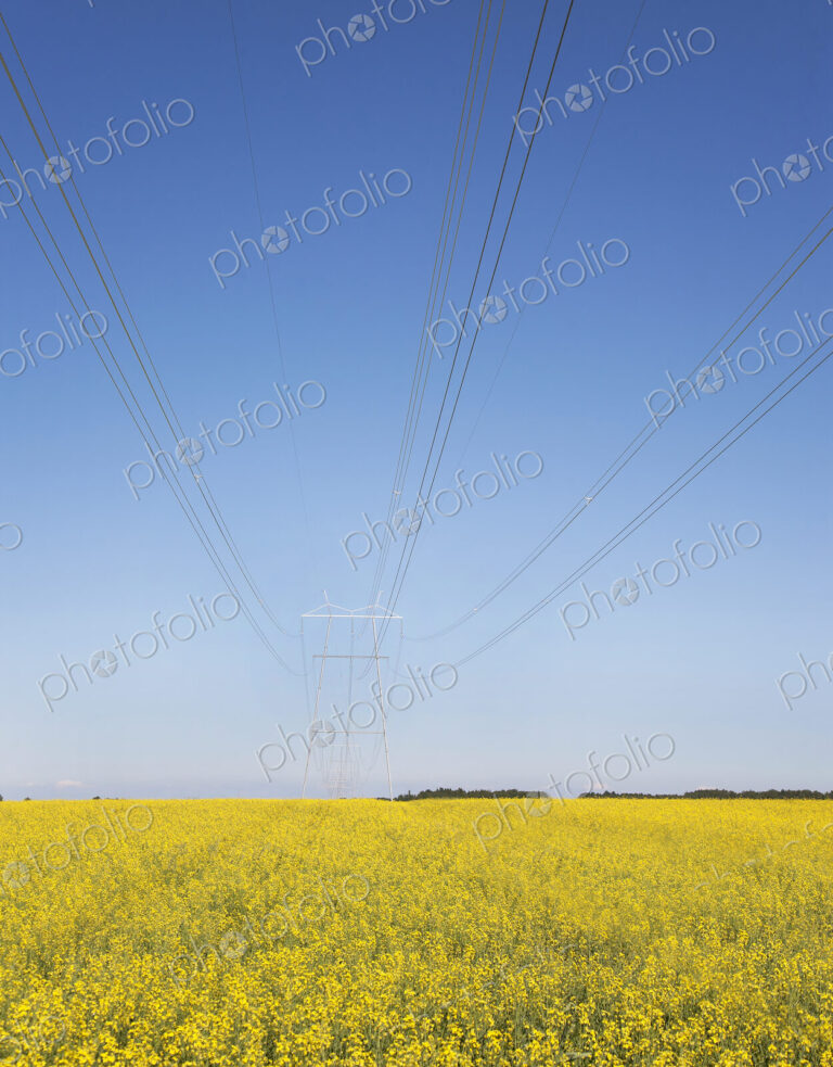 Transmission Towers and Power Lines