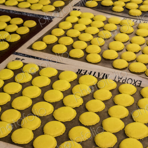 Trays of small round yellow baked biscuits or macarons. Overhead view. Trays of small round yellow baked biscuits or macarons. Overhead view.