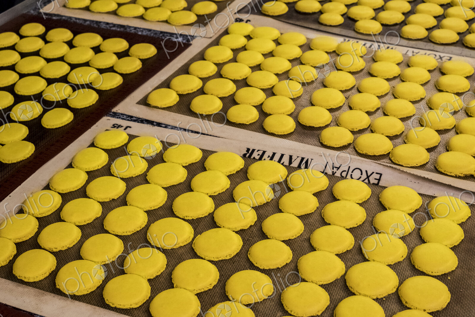 Trays of small round yellow baked biscuits or macarons. Overhead view.