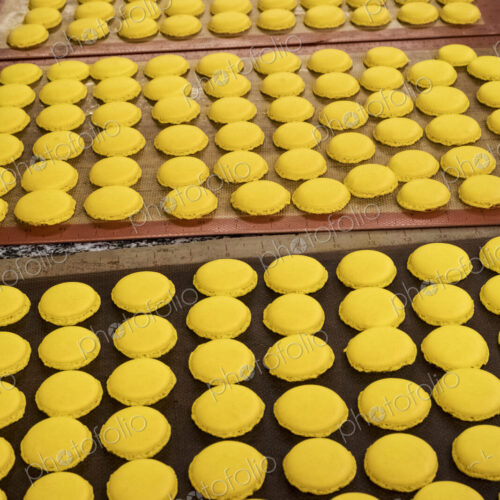 Trays of small round yellow baked biscuits or macarons. Overhead view. Trays of small round yellow baked biscuits or macarons. Overhead view.