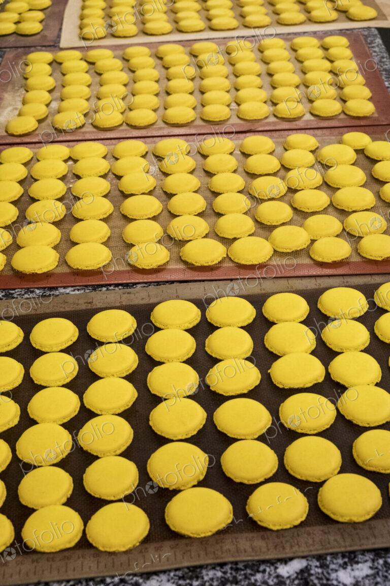 Trays of small round yellow baked biscuits or macarons. Overhead view.