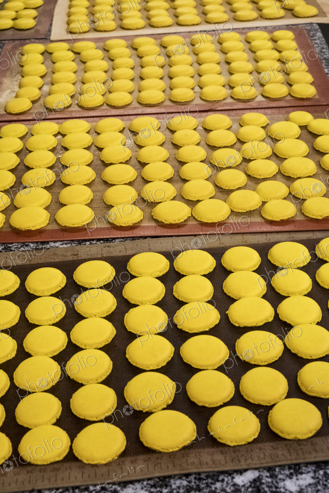 Trays of small round yellow baked biscuits or macarons. Overhead view.