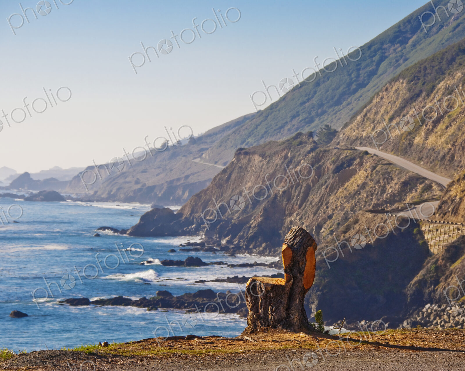 Tree Carved Chair Overlooking Beach