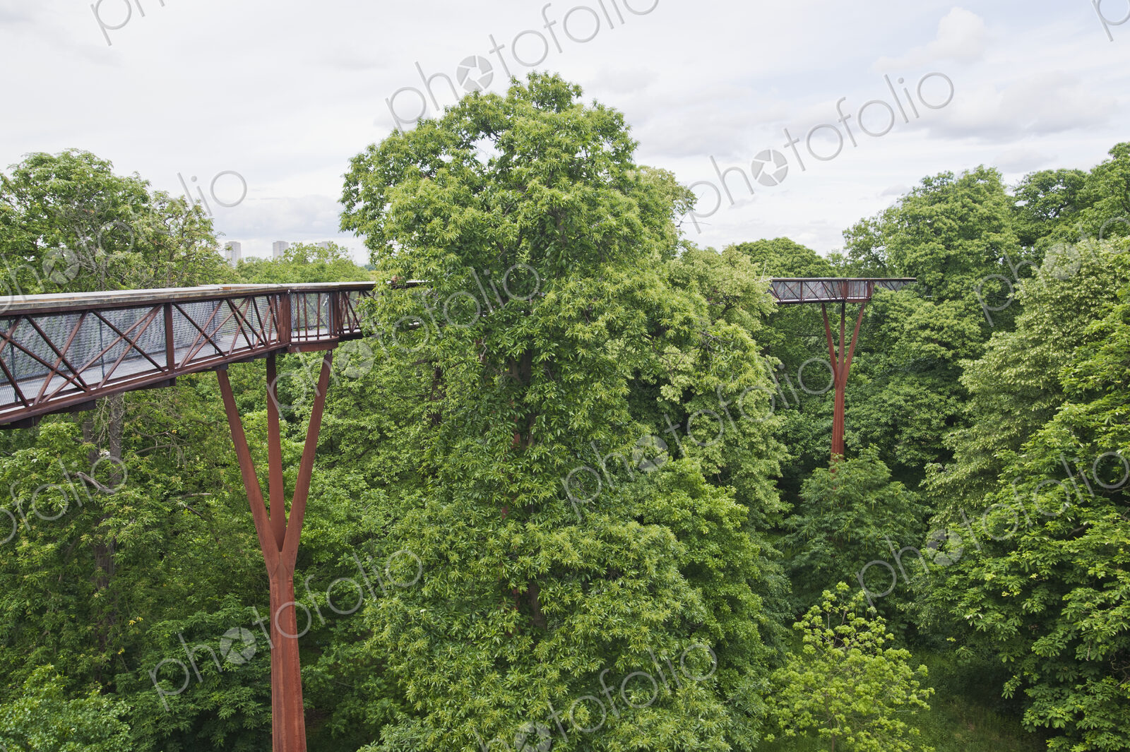 Tree Walkway in Kew Gardens