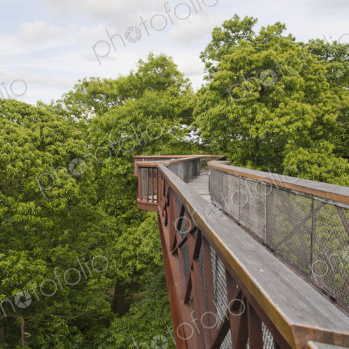 Tree Walkway in Kew Gardens Tree Walkway in Kew Gardens