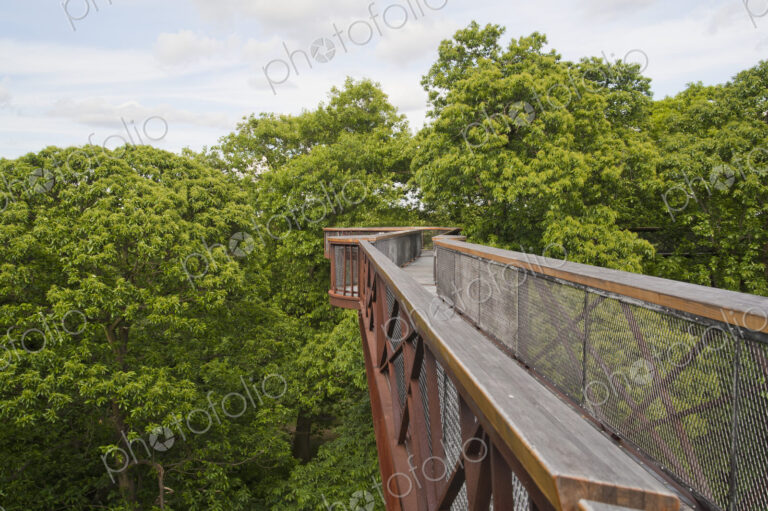 Tree Walkway in Kew Gardens