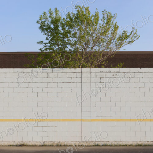 Tree behind playground wall and building, Swift Current, Saskatchewan, Canada. Tree behind playground wall and building, Swift Current, Saskatchewan, Canada.