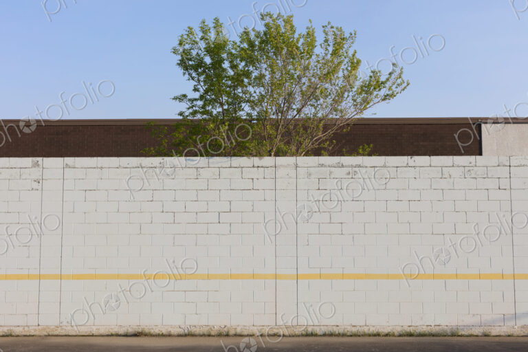 Tree behind playground wall and building, Swift Current, Saskatchewan, Canada.