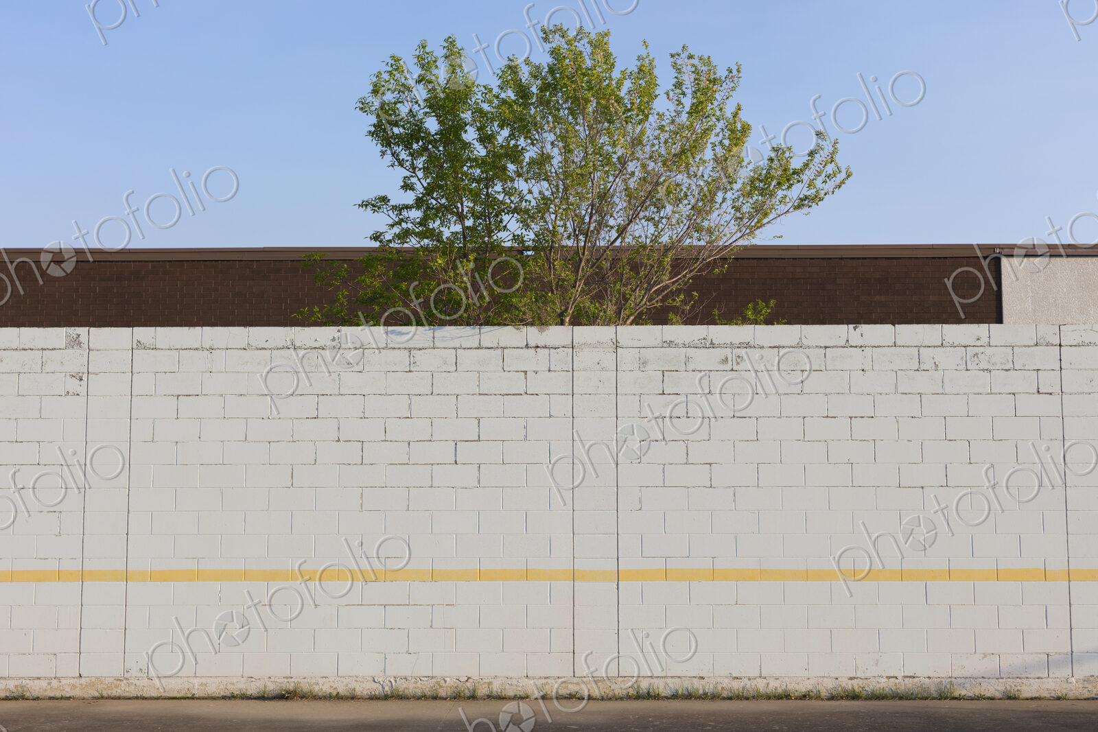 Tree behind playground wall and building, Swift Current, Saskatchewan, Canada.