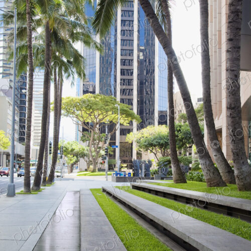 Tree-lined sidewalk, island of Oahu, HI, USA Tree-lined sidewalk, island of Oahu, HI, USA