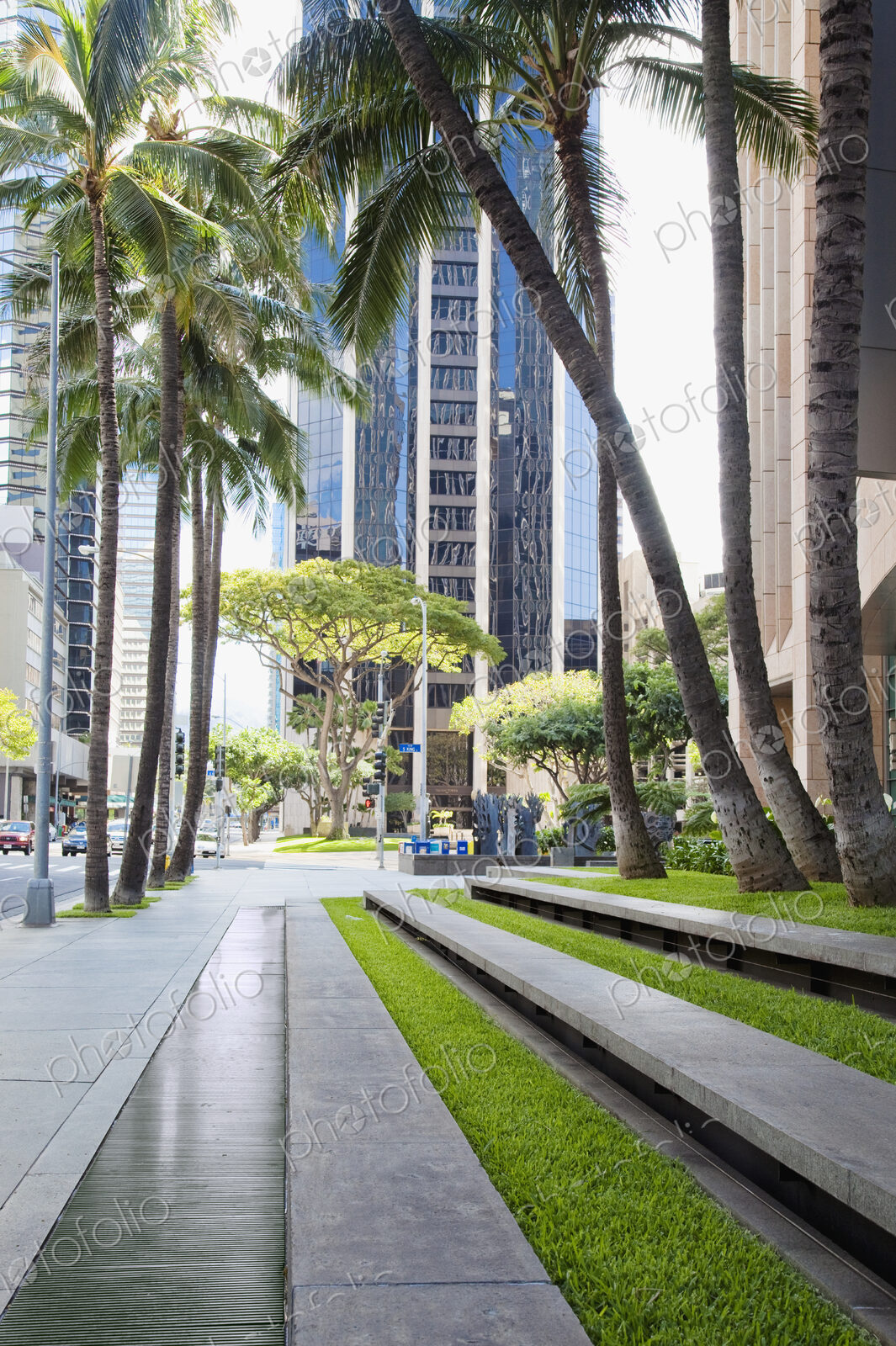 Tree-lined sidewalk, island of Oahu, HI, USA
