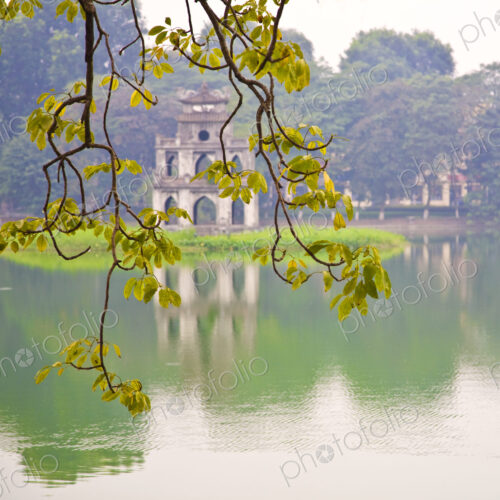 Tree with View of Hoan Kiem Lake, Hanoi, Vietnam, Asia