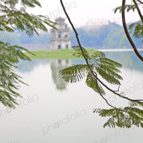 Tree with View of Hoan Kiem Lake, Hanoi, Vietnam, Asia
