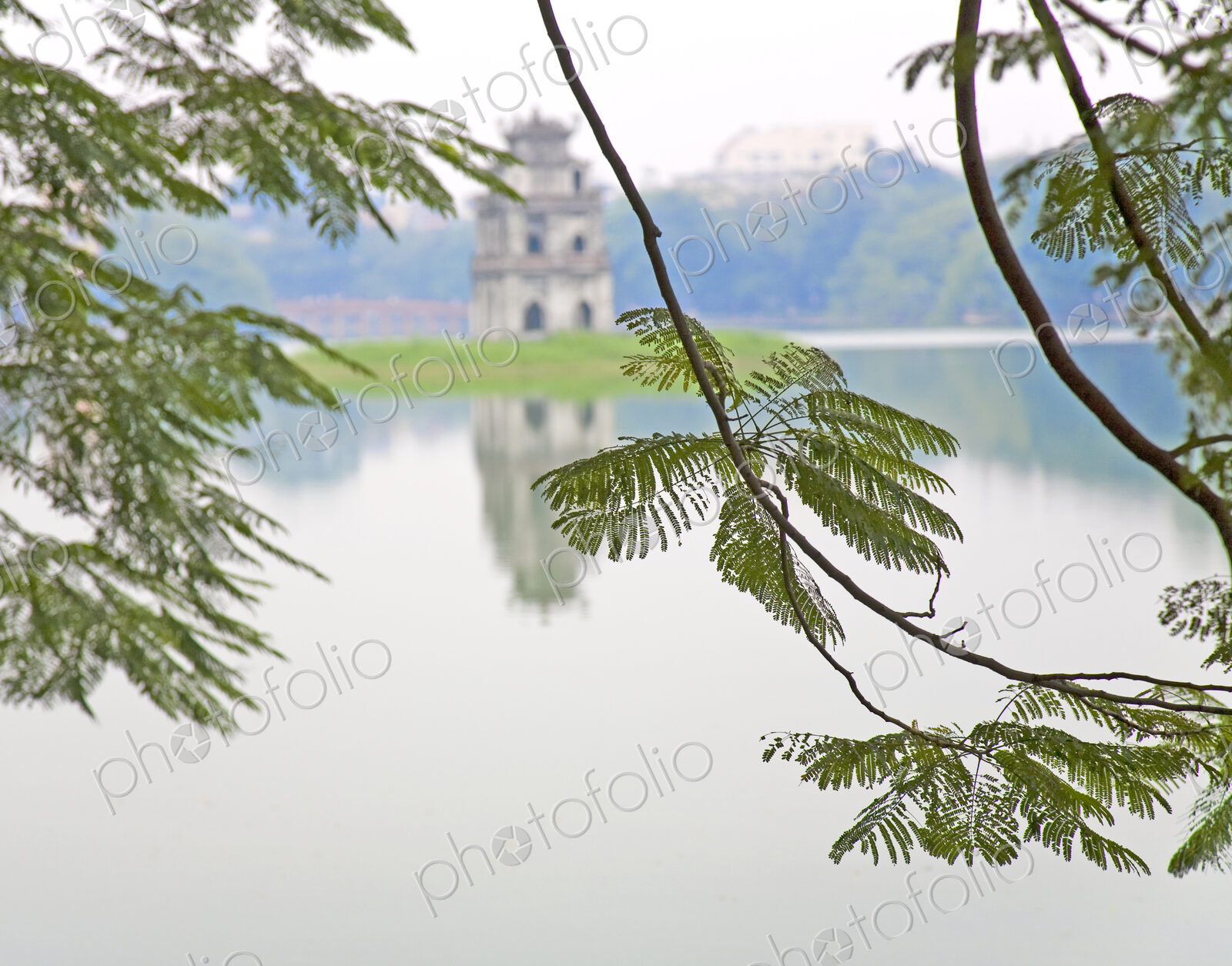 Tree with View of Hoan Kiem Lake, Hanoi, Vietnam, Asia
