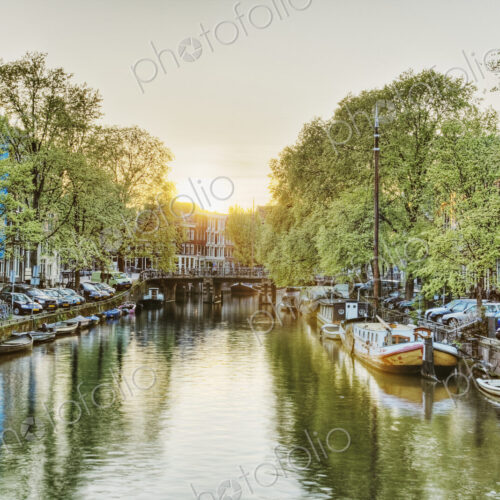 Treelined canal in Amsterdam with historic houses