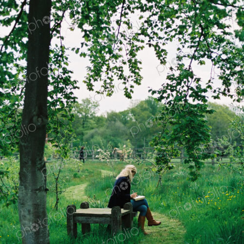 Trees and long grass. A mown path. A woman seated on a wooden seat. Trees and long grass. A mown path. A woman seated on a wooden seat.