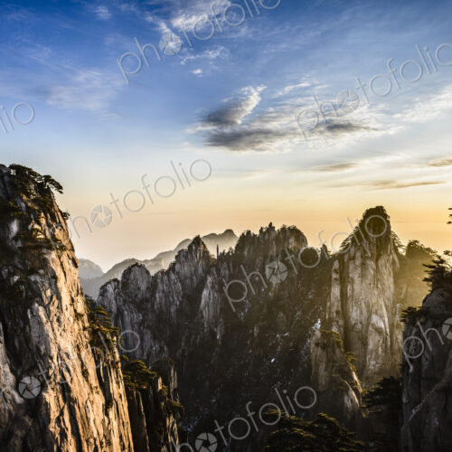 Trees growing on rocky mountains, Huangshan, Anhui, China Trees growing on rocky mountains, Huangshan, Anhui, China