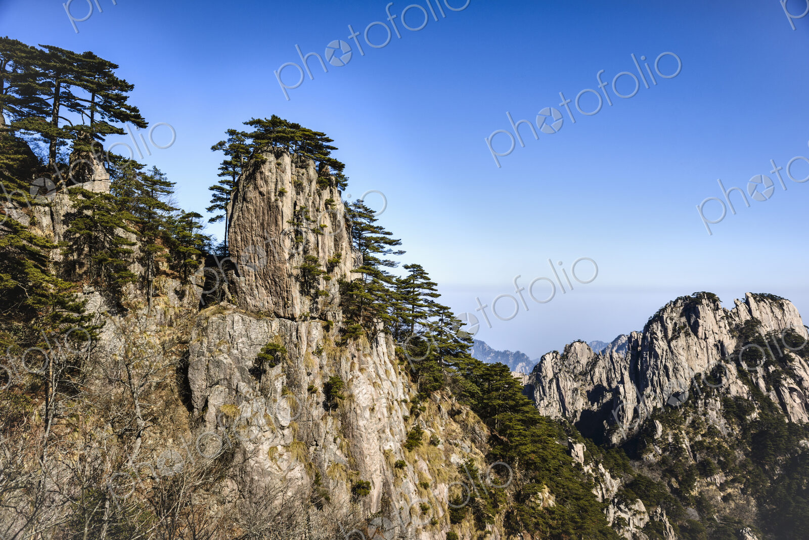 Trees growing on rocky mountains, Huangshan, Anhui, China