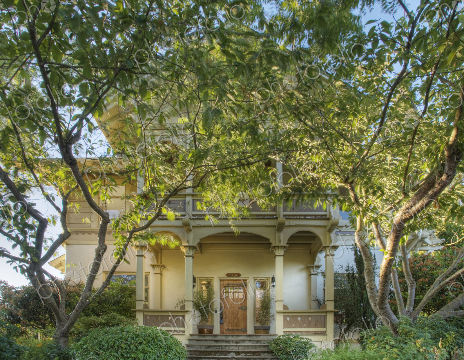 Trees in front of luxury house
