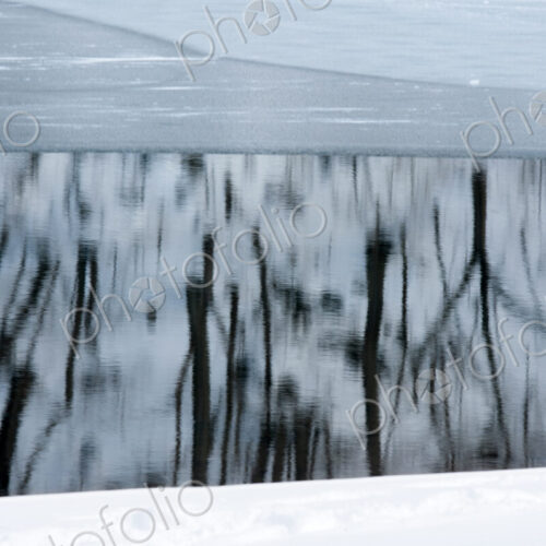 Trees reflect in the icy water of Lake Kawakguchi, Japan Trees reflect in the icy water of Lake Kawakguchi, Japan