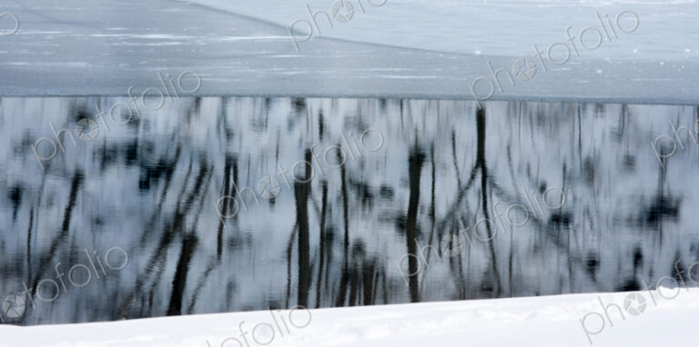 Trees reflect in the icy water of Lake Kawakguchi, Japan