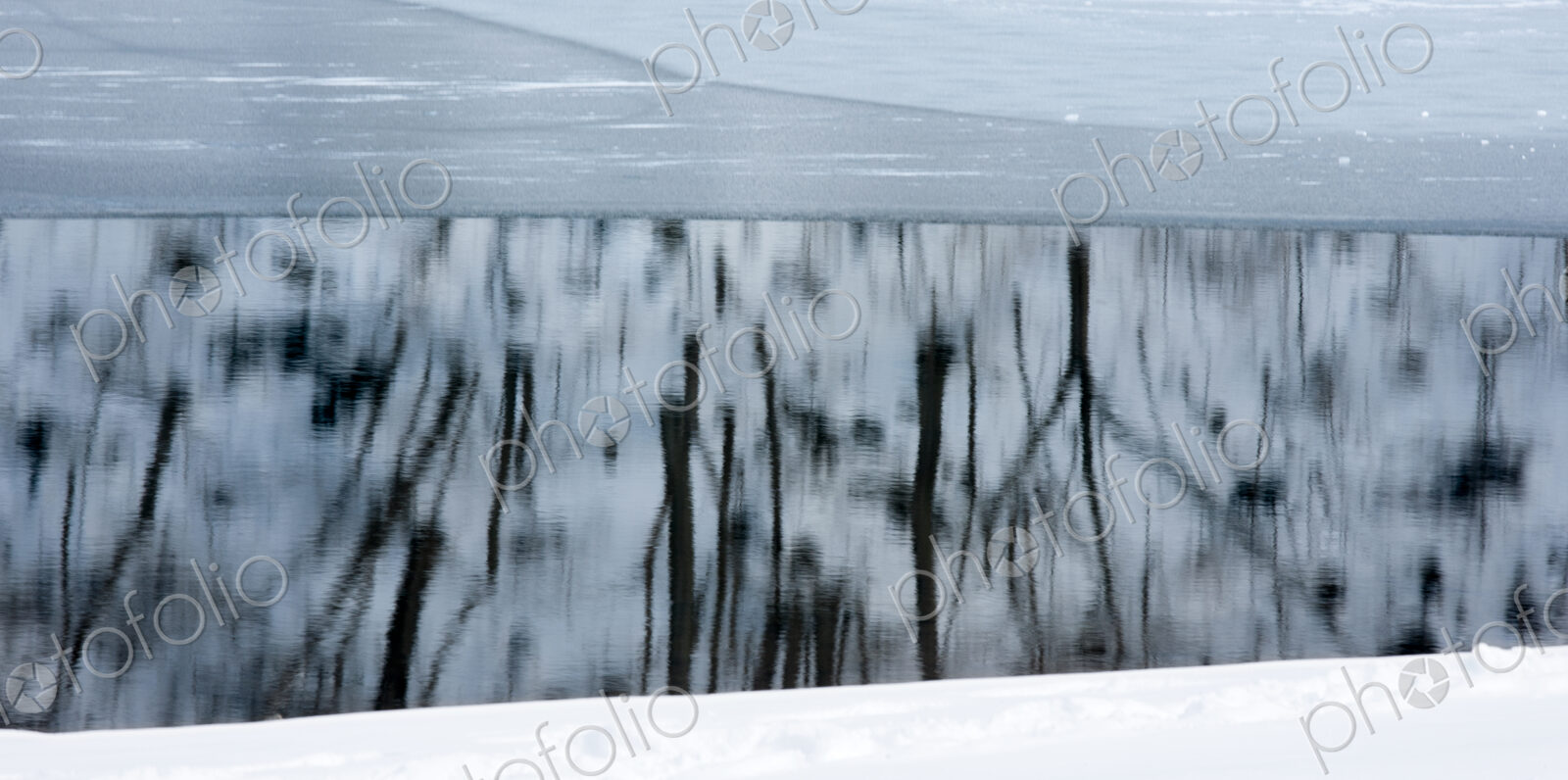 Trees reflect in the icy water of Lake Kawakguchi, Japan