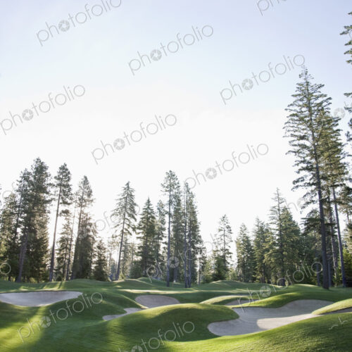 Trees surrounding golf course with sandtraps