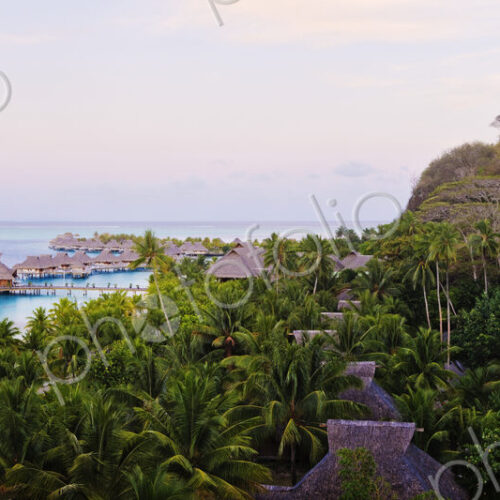 Tropical Landscape Tropical Landscape