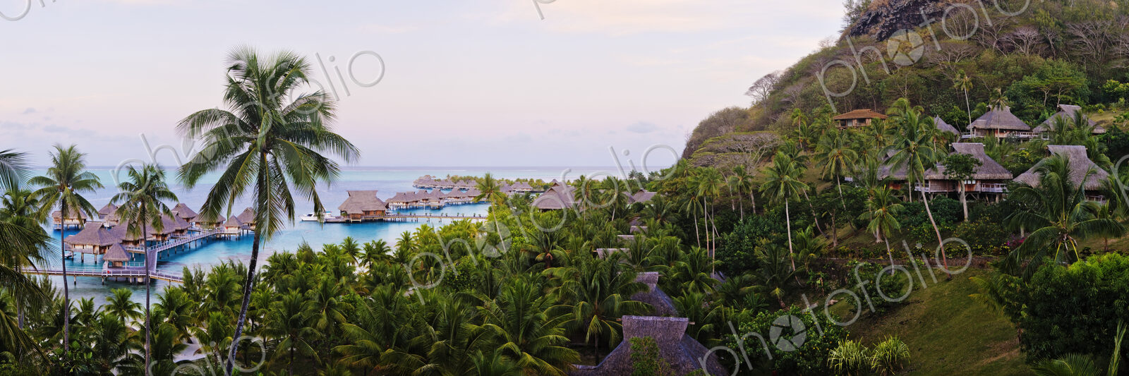 Tropical Landscape