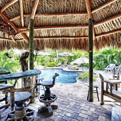 Tropical Swimming Pool Tropical Swimming Pool