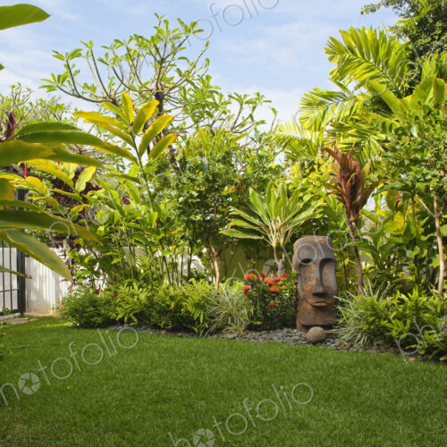 Tropical Yard Tropical Yard