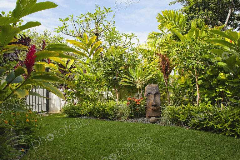 Tropical Yard