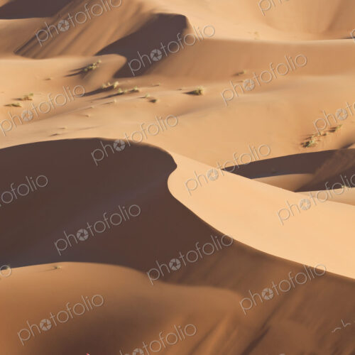 Tuareg man leading camel train through the Sahara desert.
